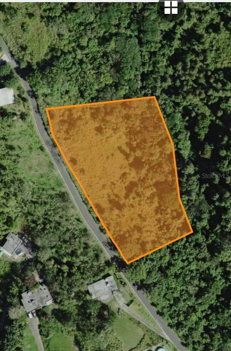 Carr. 723,2.3 Int., Aibonito, PR 00705 - #3