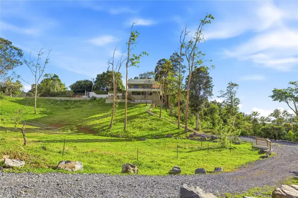 RD15 KM20.6 Bo. Quebrada Arriba, CAYEY, PR 00736