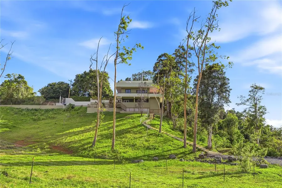 RD15 KM20.6 Bo. Quebrada Arriba, Cayey, PR 00736 - #2