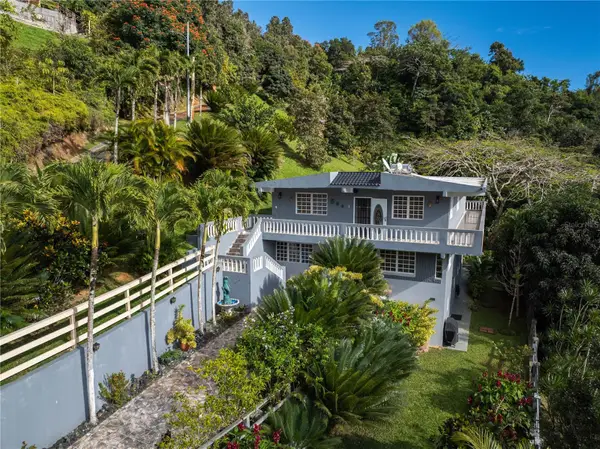 Carretera 715 Kilometro 3.7, CAYEY, PR 00736