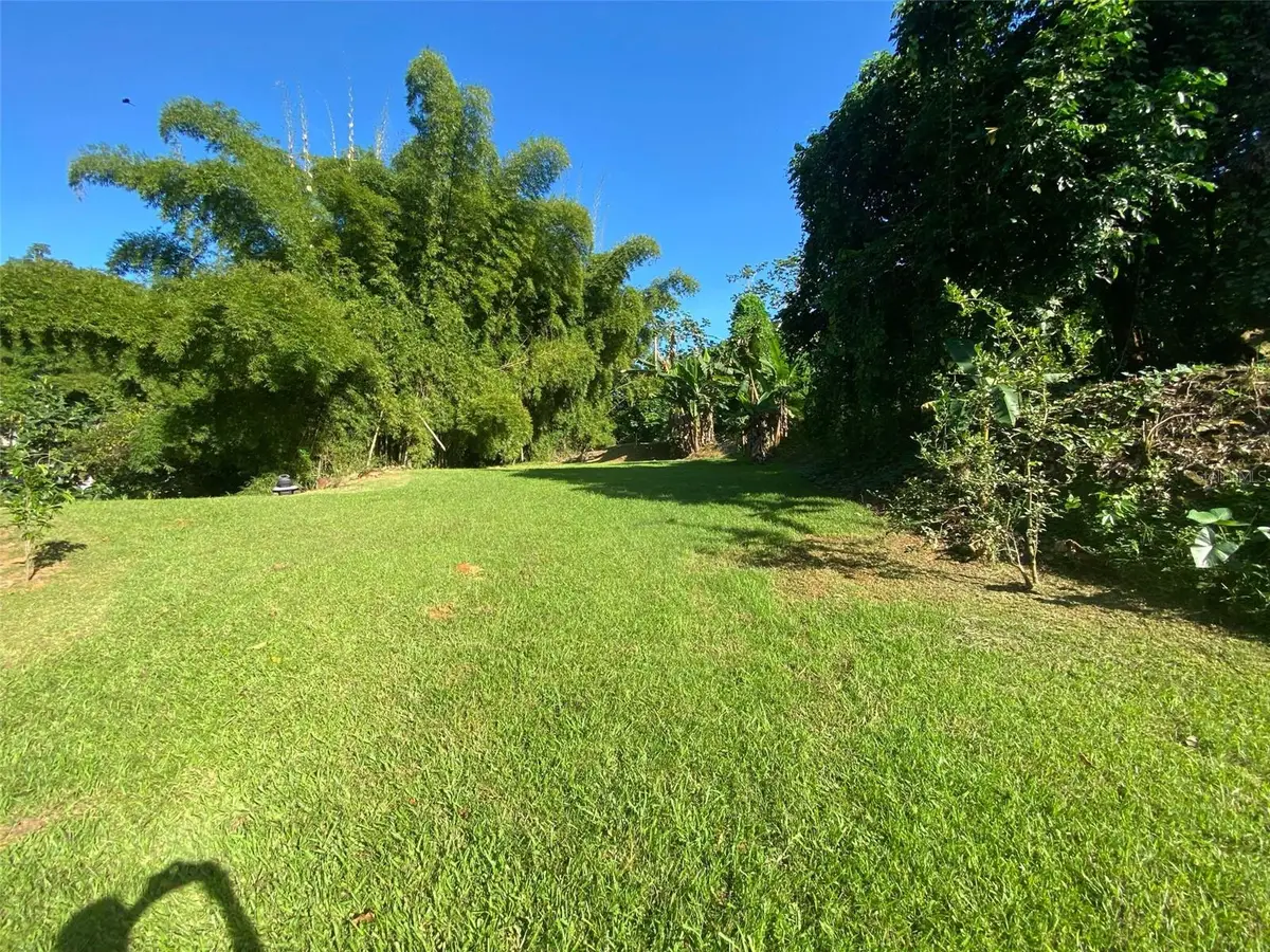 Carr. 108, Camino Adelina Bo. Ro Caas, Mayaguez, PR 00680 - #1