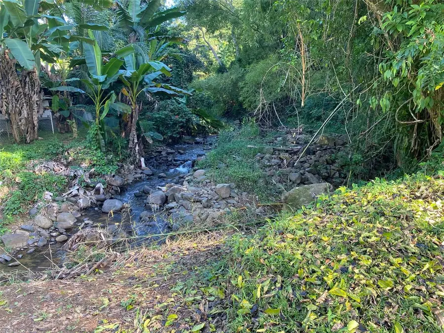 Carr. 108, Camino Adelina Bo. Ro Caas, Mayaguez, PR 00680 - #3