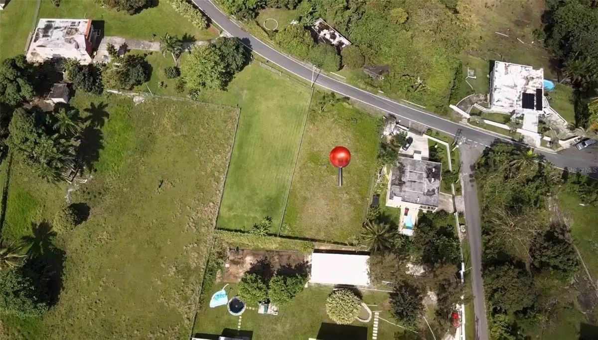 PR-9929 Barrio Lirios #2, Juncos, PR 00777 - #1