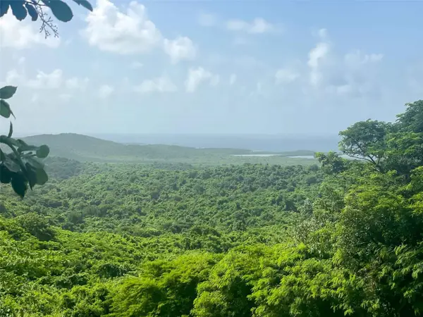 309 Calle Papo Foster, VIEQUES, PR 00765