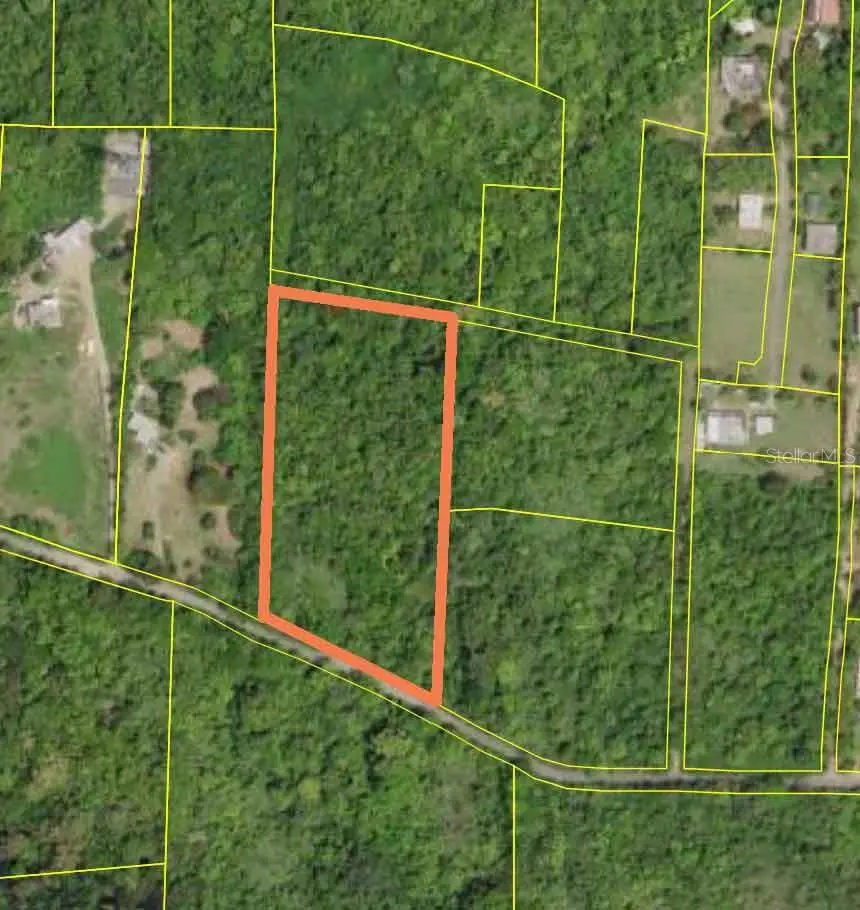 173 La Llave Road, Vieques, PR 00765 - #1