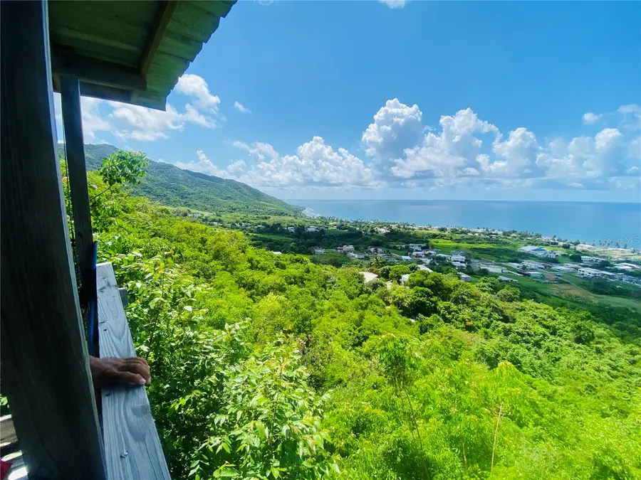 Farm Amazing Ocean View, Patillas, PR 00723 - #3
