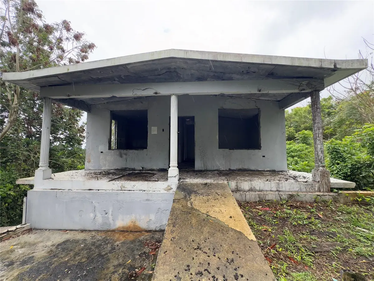 carr 619 Km 3.0 Int. Cuchillas Ward, Morovis, PR 00687 - #1