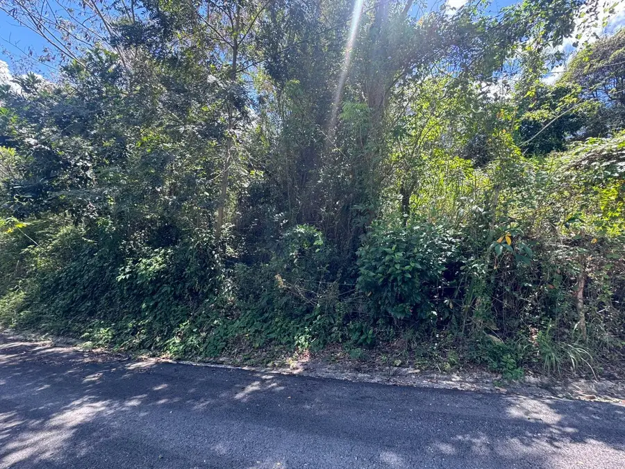 Bo. Guanajibo, Hormigueros, PR 00660 - #2