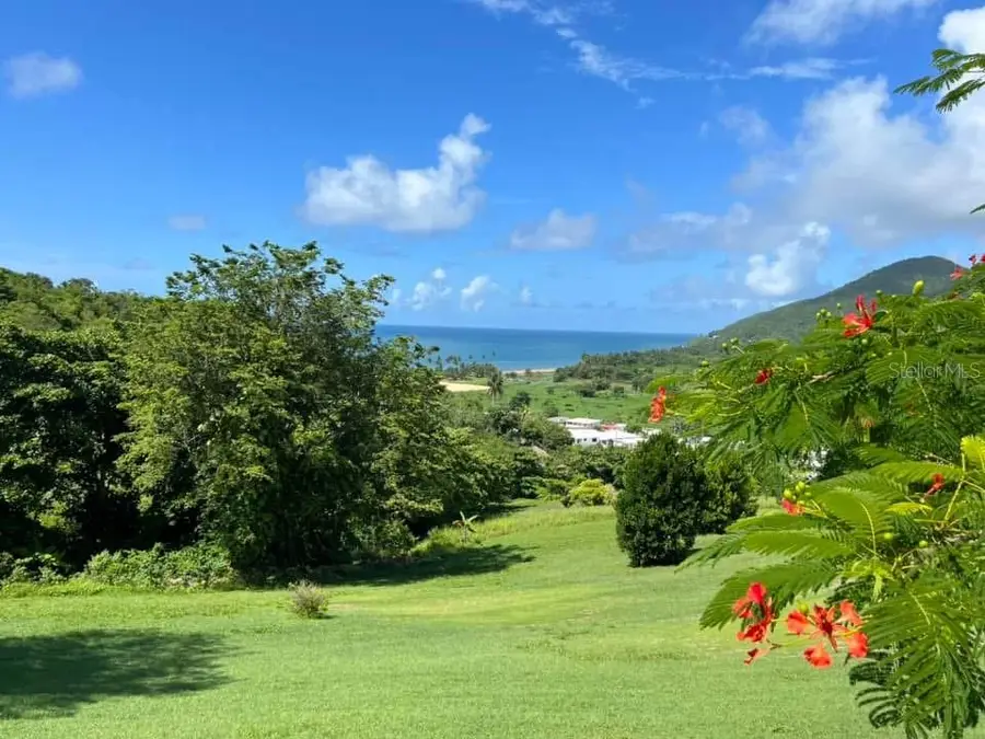 901 Amazing View House, Maunabo, PR 00707 - #3