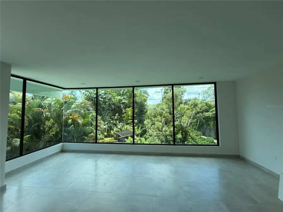 1704 Crisantemo, San Juan, PR 00927 - #2