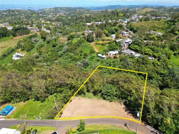 St. 809 Cedro Arriba Sector Santa Teresita Ii #2, NARANJITO, PR 00719