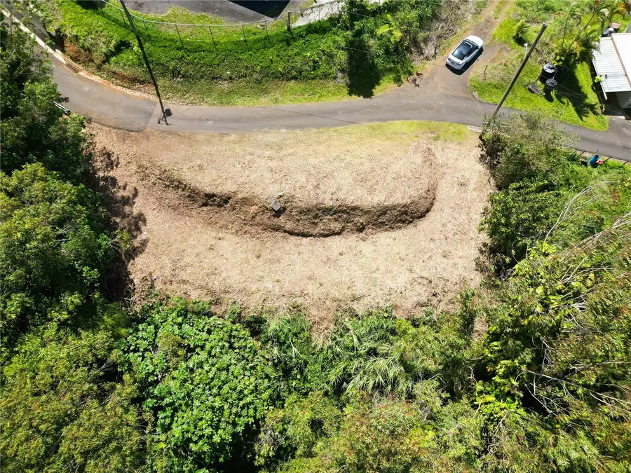St. 809 Cedro Arriba Sector Santa Teresita Ii #2, Naranjito, PR 00719 - #3
