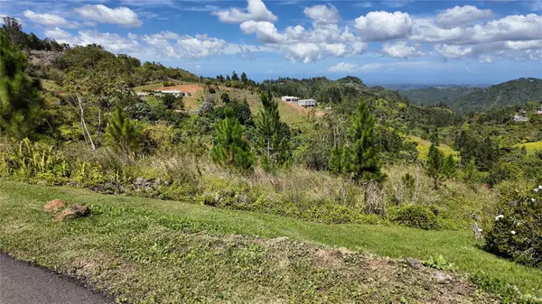 Carr 155 Km 33.1 Int Bo. Gato, OROCOVIS, PR 00720