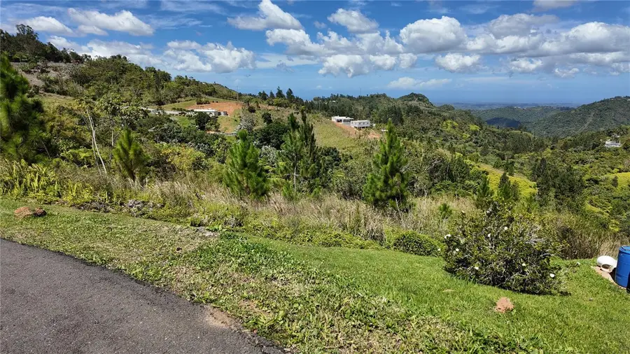 Carr 155 Km 33.1 Int Bo. Gato, Orocovis, PR 00720 - #3