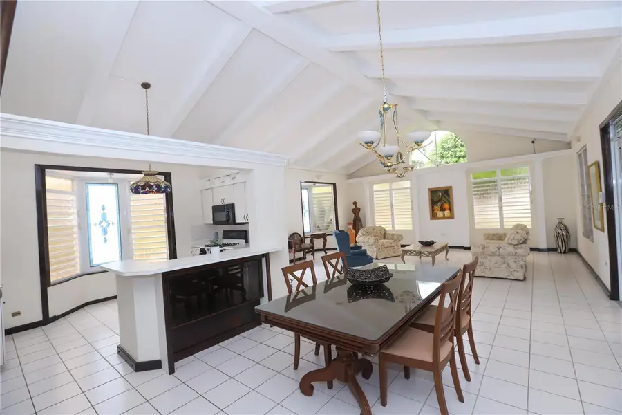 FINQUITAS Del Monte, Cidra, PR 00739 - #3