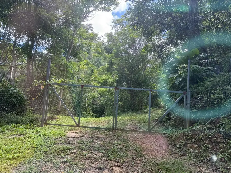 Rd 486 Km 7.5 Abra Honda, Camuy, PR 00627 - #3