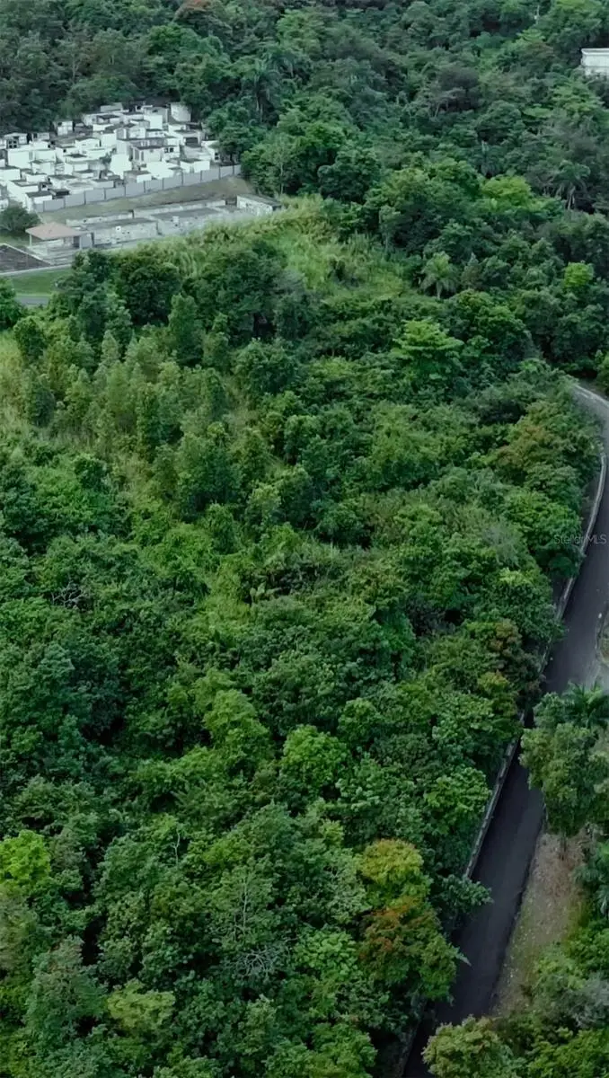 CARR 185 LOTE F Bo Carruzos, Carolina, PR 00987 - #3