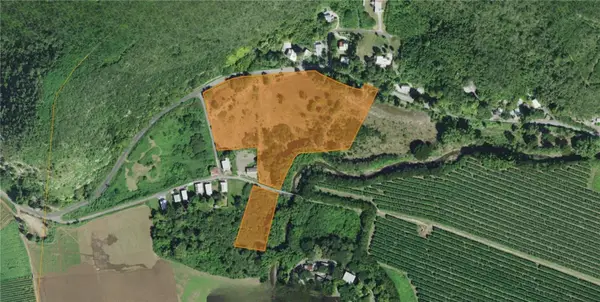 Pr-335, GUAYANILLA, PR 00656