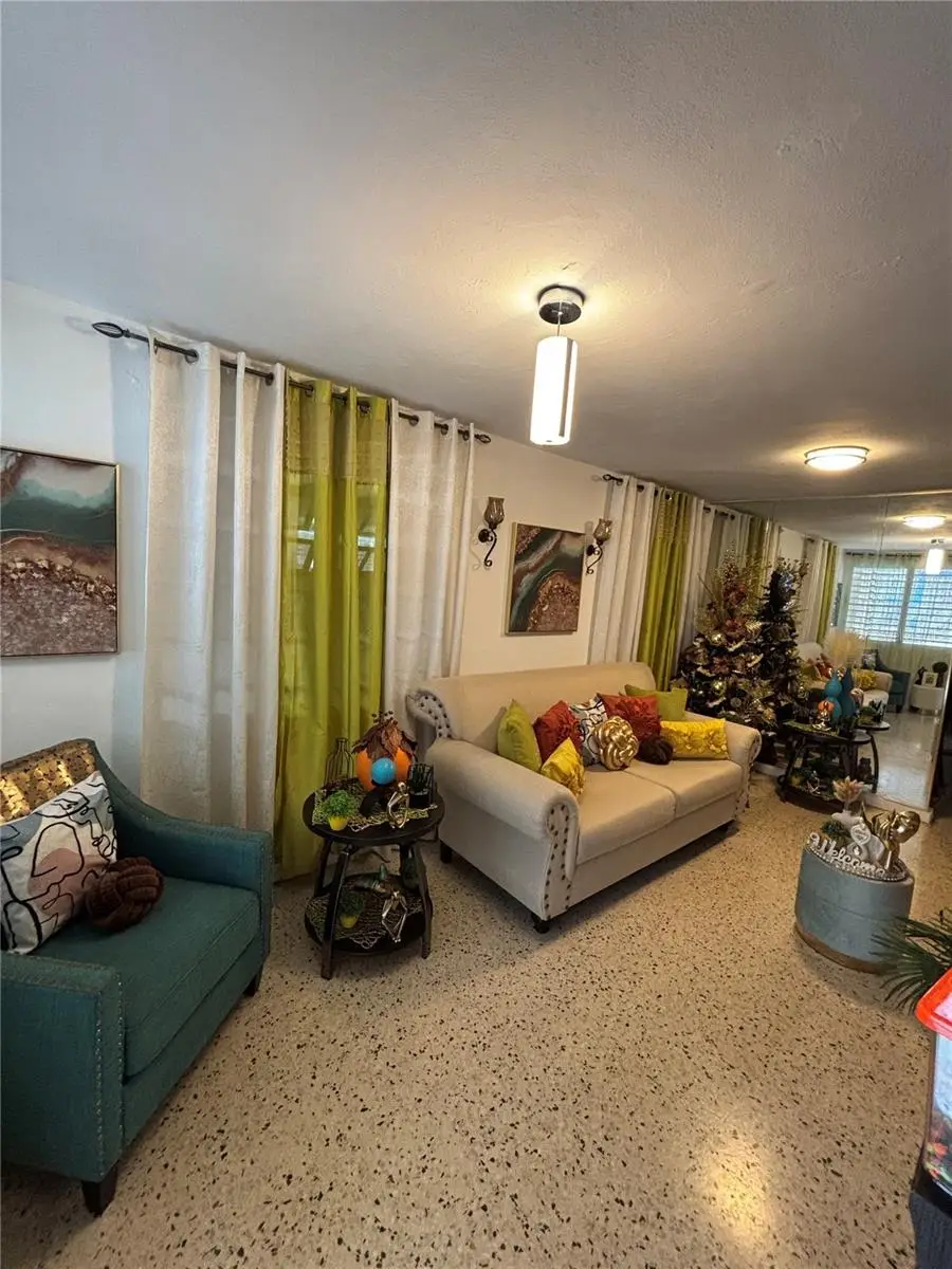 Daniel Bonilla 30 Buena Vista, Cayey, PR 00736 - #2