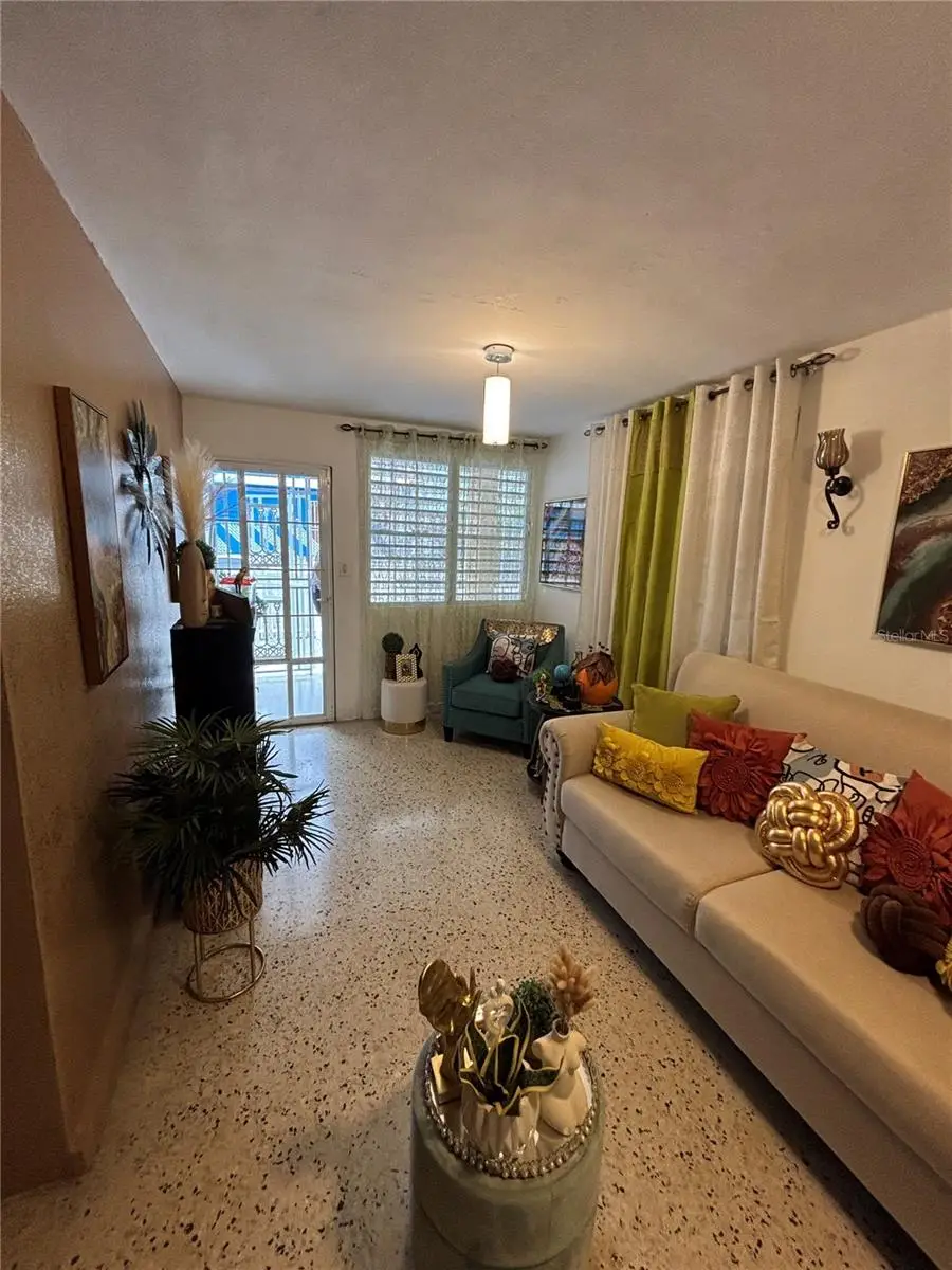 Daniel Bonilla 30 Buena Vista, Cayey, PR 00736 - #3