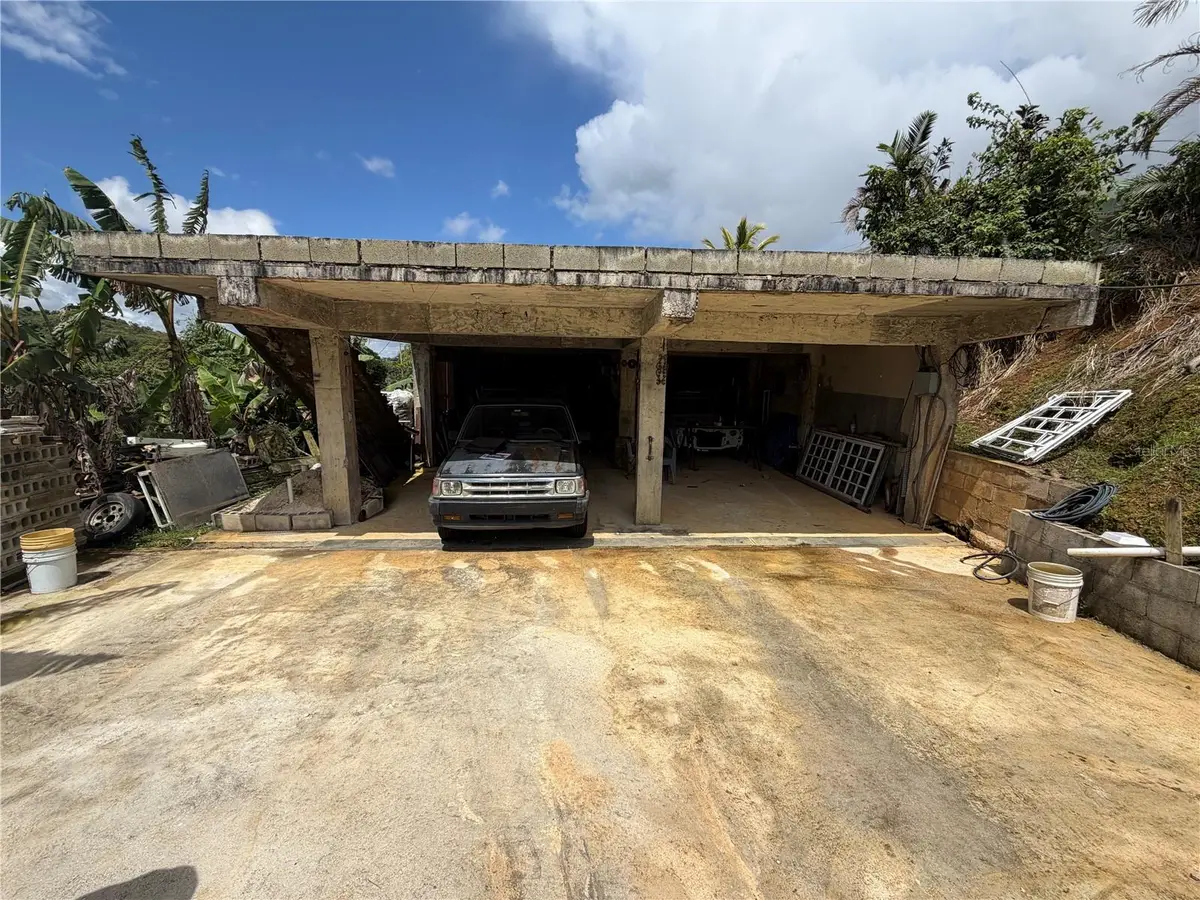 Carr 723 Km 2.3 Int, Bo. Asomante, Aibonito, PR 00705 - #1