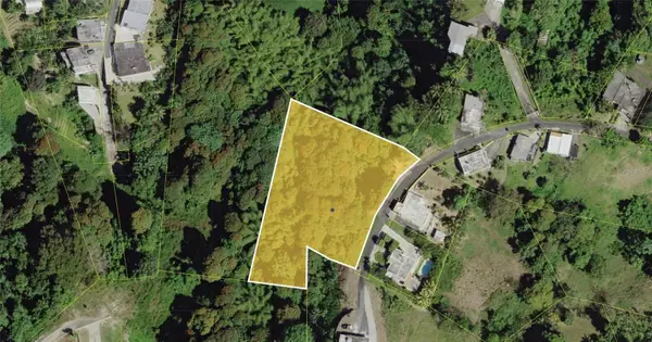 Montellano, LAS PIEDRAS, PR 00771