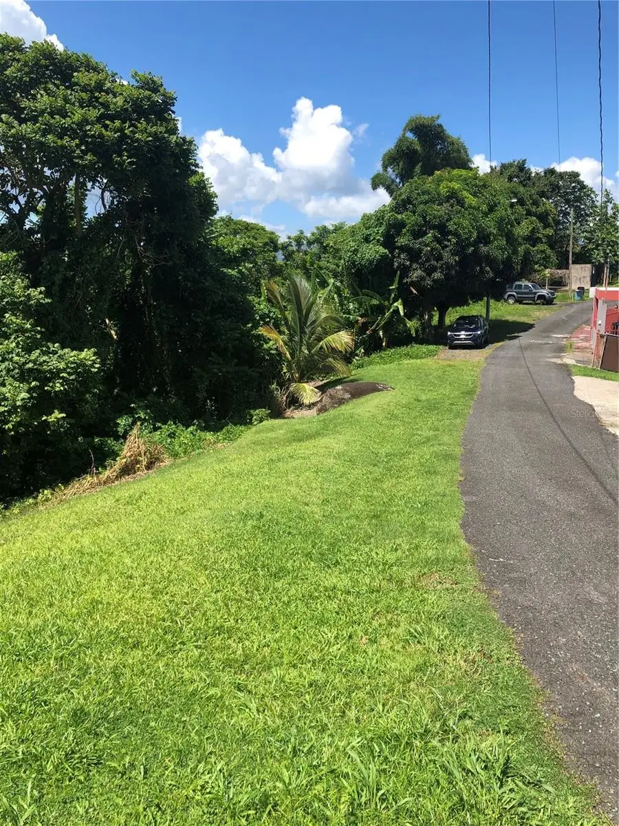 Montellano, Las Piedras, PR 00771 - #3
