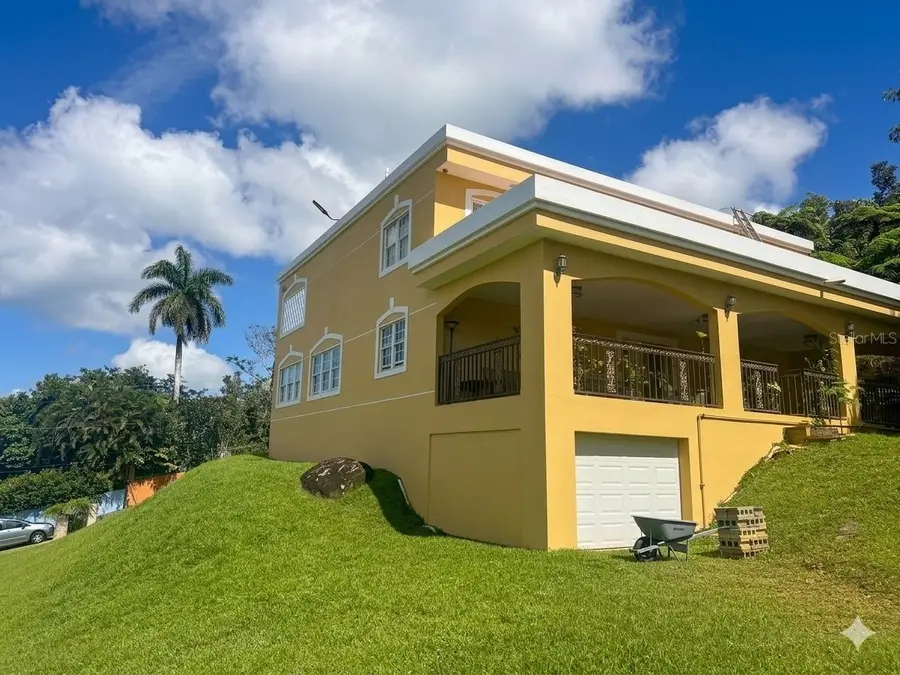 Bo Beatriz Las Pias Finca Mi Recreo Lot 28, Caguas, PR 00725 - #2