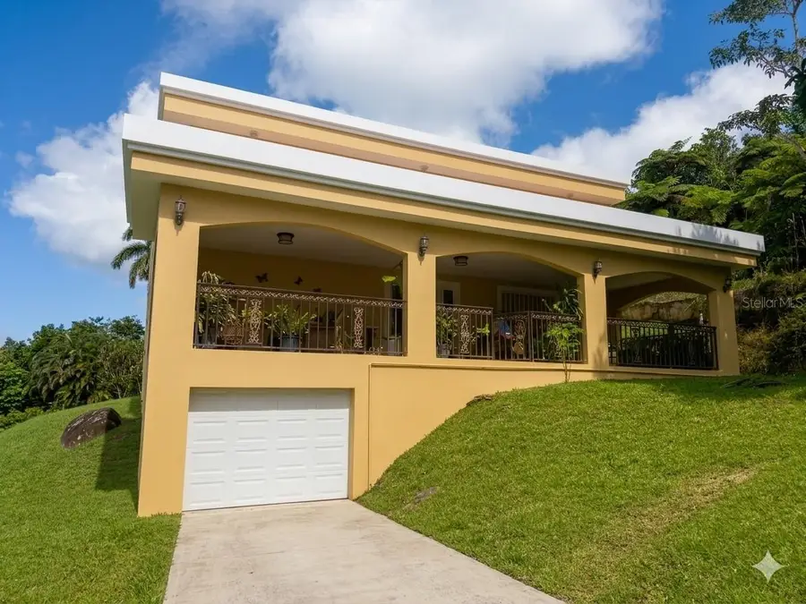 Bo Beatriz Las Pias Finca Mi Recreo Lot 28, Caguas, PR 00725 - #3