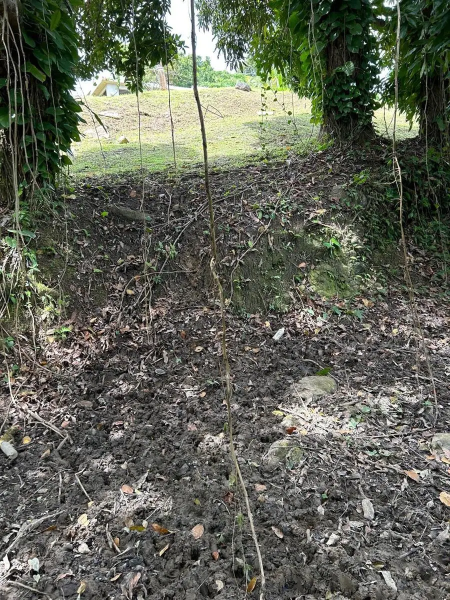 Pr 9989 Int, Luquillo, PR 00773 - #3