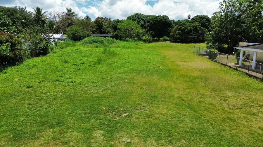 Bo Coto Norte, Sector Guayaney, Manati, Manati, PR 00674 - #3