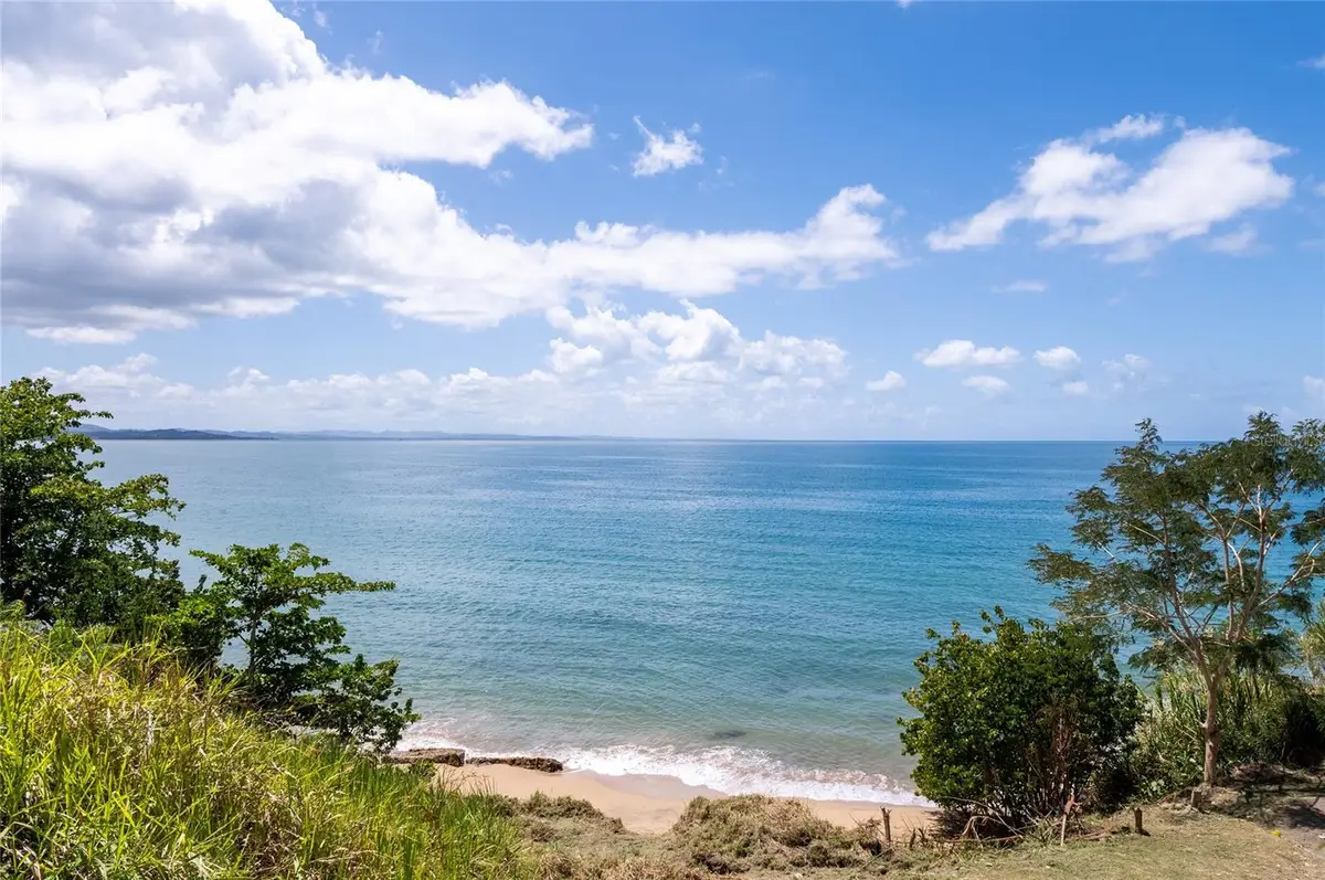 Bo. Caguabo, Anasco, PR 00610 - #1