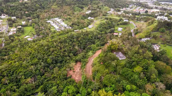 Pr-796, Rio Caas Ward, CAGUAS, PR 00725