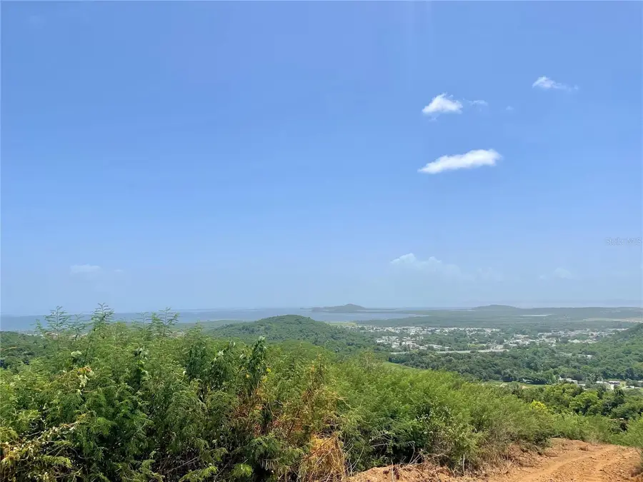 981, Ceiba, PR 00735 - #3