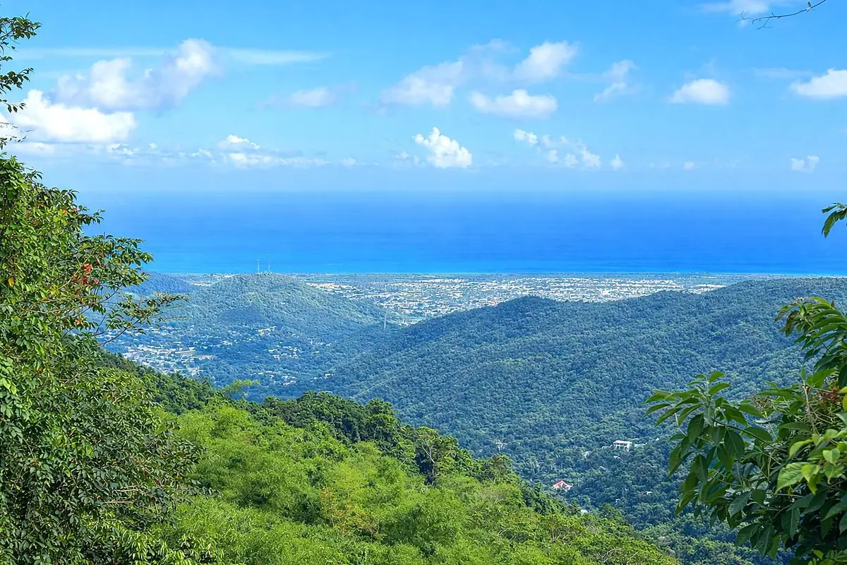 15 km 10.8 Bo Las Palmas, Guayama, PR 00784 - #1