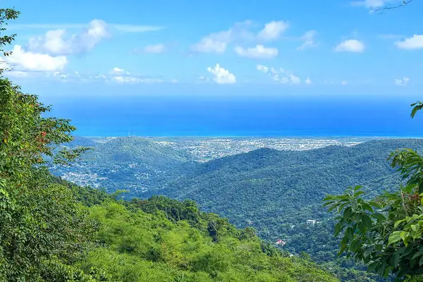 15 km 10.8 Bo Las Palmas, GUAYAMA, PR 00784