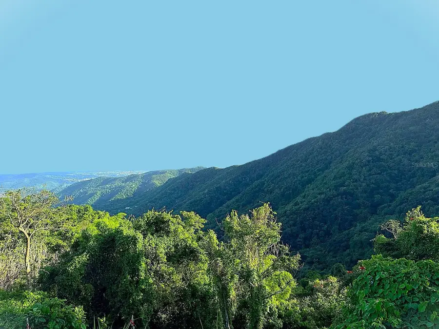 15 km 10.8 Bo Las Palmas, Guayama, PR 00784 - #2