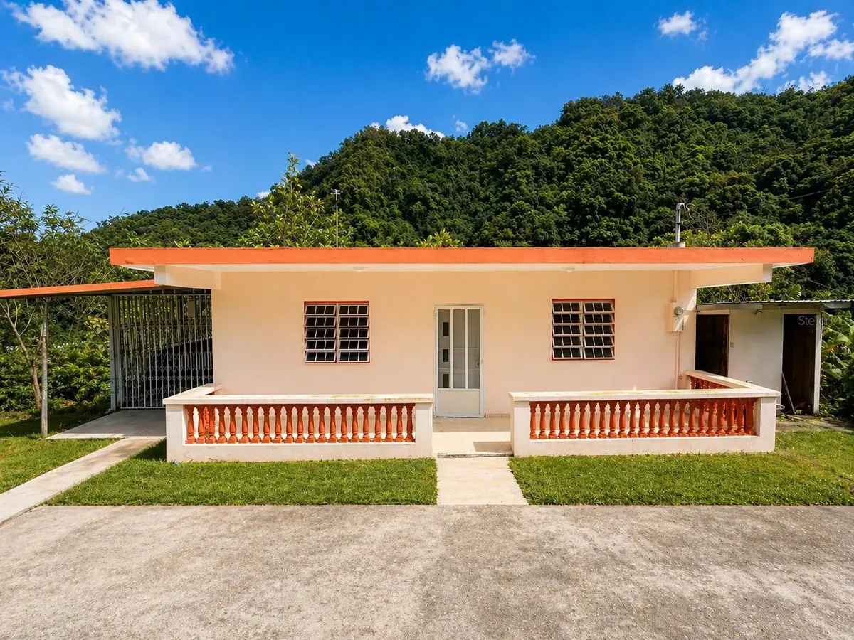 R517 Collores Ward, Juana Diaz, PR 00795 - #1