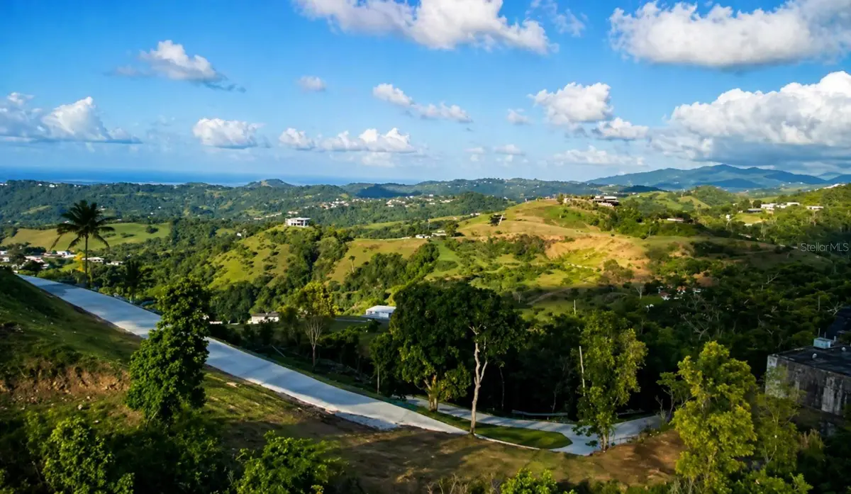 LOMA DEL VIENTO Bo. Masas, Gurabo, PR 00778 - #1