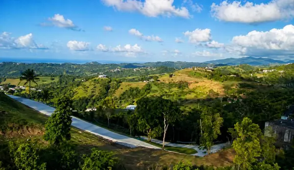 LOMA DEL VIENTO Bo. Masas, GURABO, PR 00778