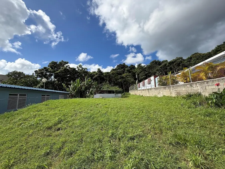 PR-759 (Int) Calle 5 Lote 269, Maunabo, PR 00707 - #3
