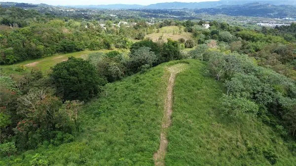 1 Camino El Cabrito, HUMACAO, PR 00791
