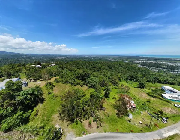 Zarzal Arriba Carr. 966 Km 2.3 #K, RIO GRANDE, PR 00745