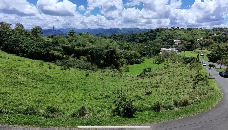 Pr 749 Km 0.2 Lot 3 Quebrada Grande Wd, Barranquitas, PR 00794 - #2