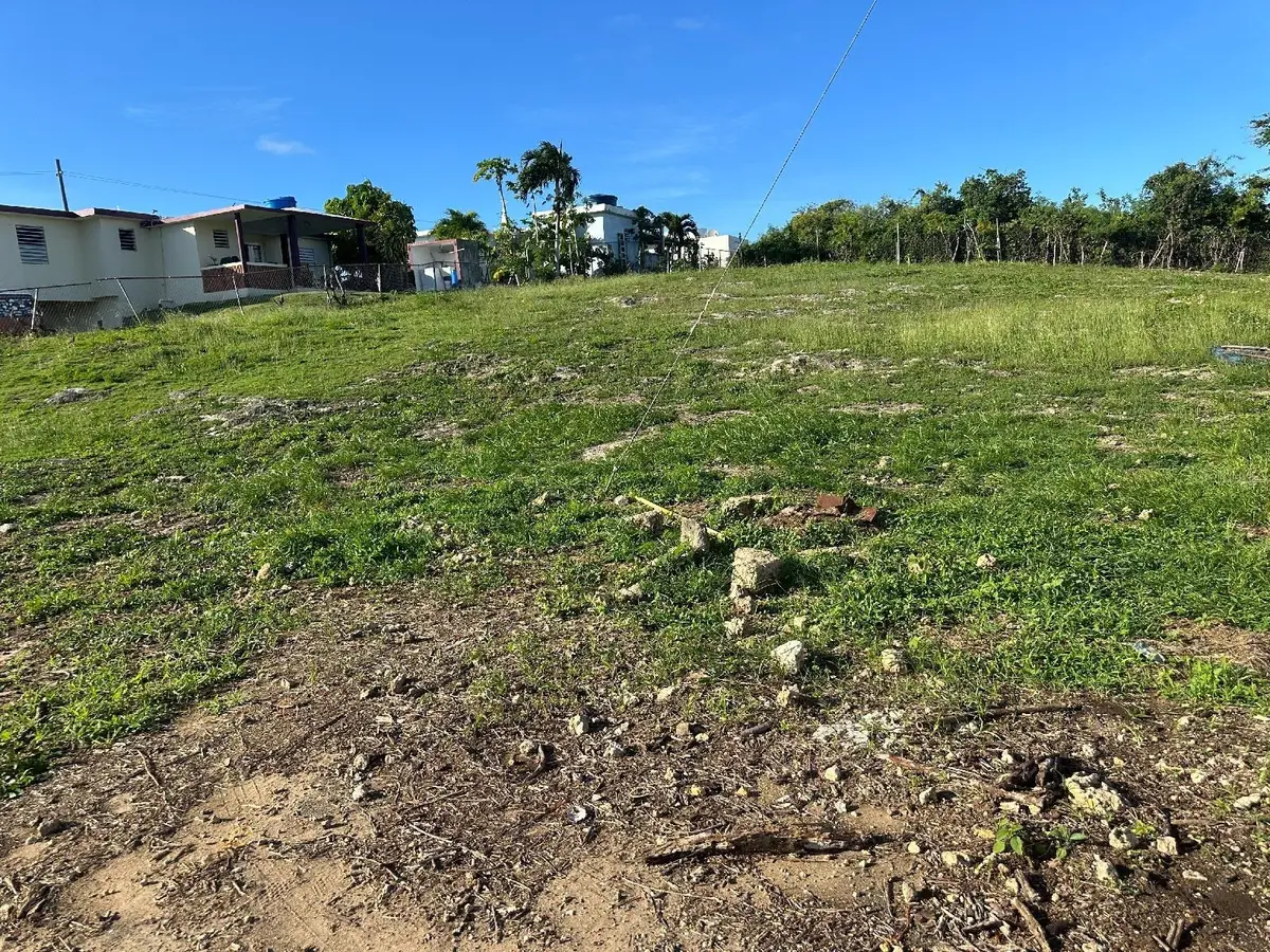 Solar #5 Calle Los Rios Llanos, Camuy, PR 00627 - #1