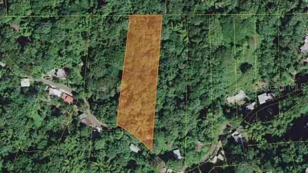 PR-354 KM 6.4 Marini Community - Quemado Ward, Mayaguez, PR 00680 - #1