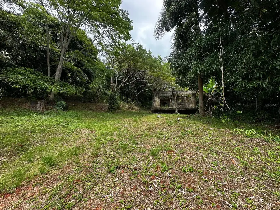 PR-354 KM 6.4 Marini Community - Quemado Ward, Mayaguez, PR 00680 - #3