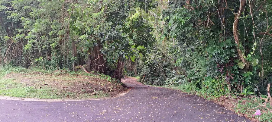 NE Barrio Mameyes, Rio Grande, PR 00745 - #2