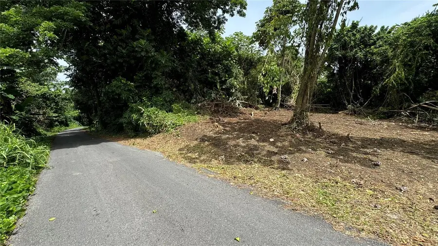 Bo Cidral Pr-111, San Sebastian, PR 00685 - #2