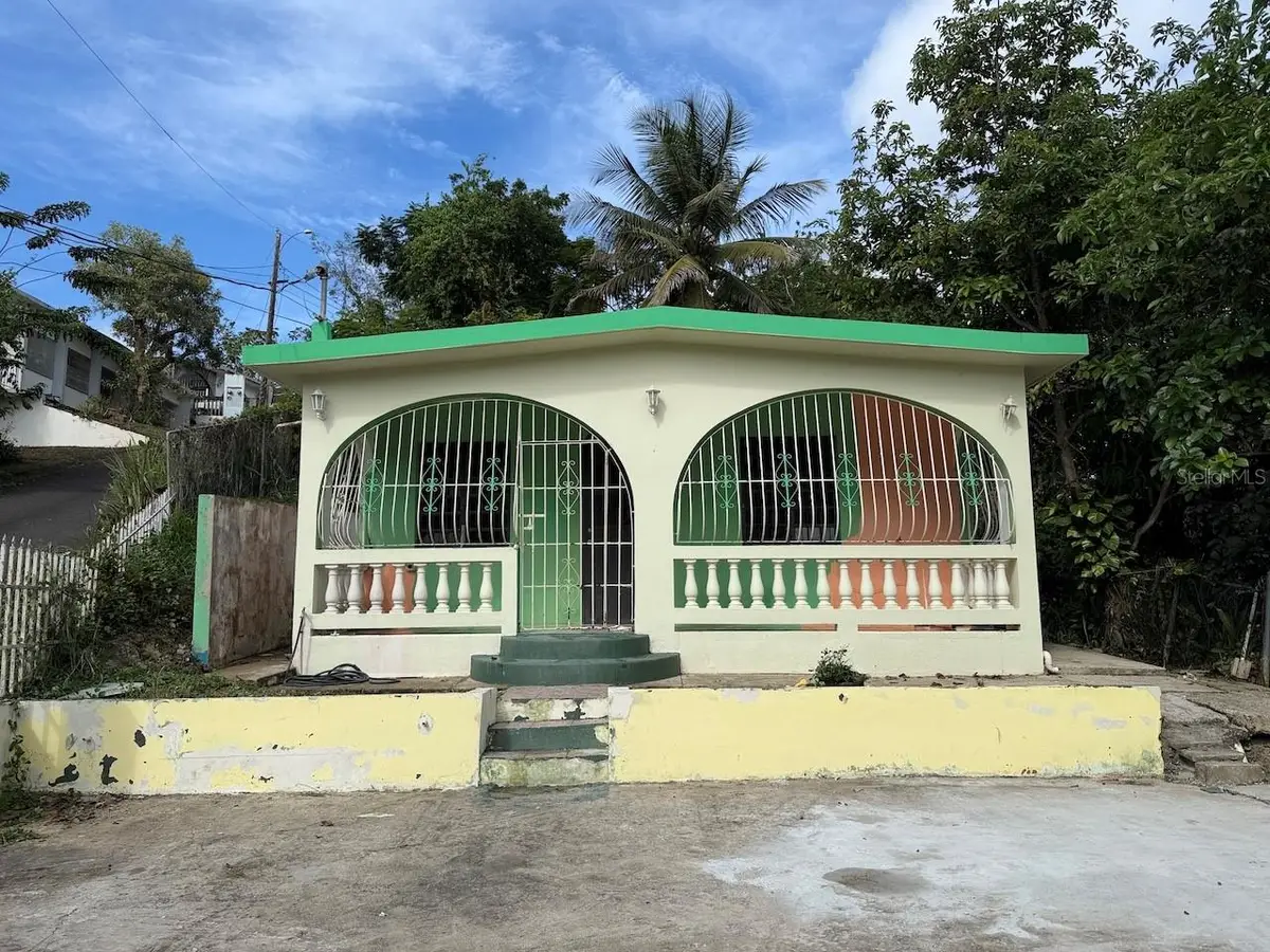 52 A Comm. Bajandas, Pr-925 Int., Humacao, PR 00791 - #1